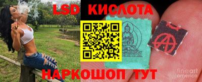 СК Конаково