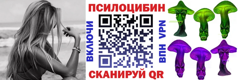 цена   Камышин  Галлюциногенные грибы GOLDEN TEACHER 