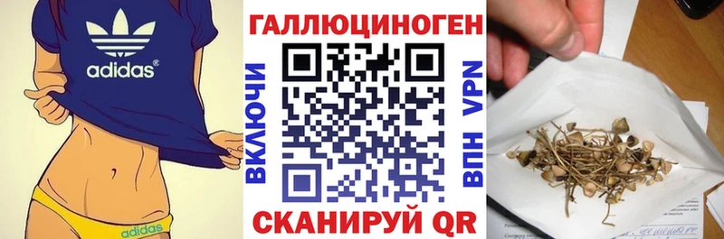 Псилоцибиновые грибы GOLDEN TEACHER Камышин