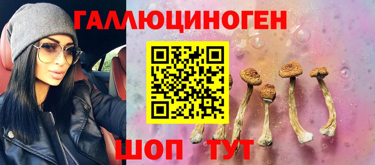 Псилоцибиновые грибы Psilocybine cubensis  Вход с VPN  Камышин 